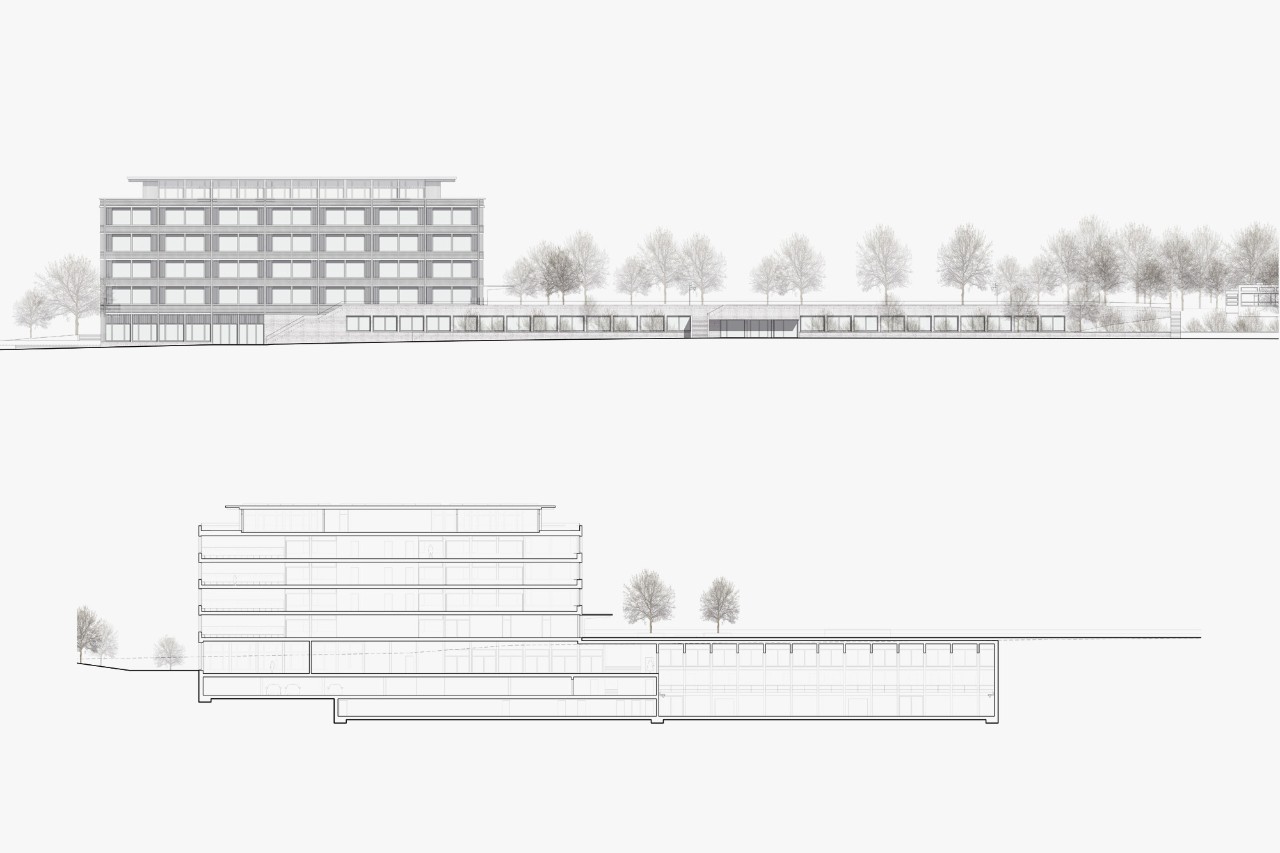 Schulanlage Riedhof Siegerprojekt KUCKUCK ‒ Ansicht Südwest und Längsschnitt (Plan: Jonas Wüest Architekten)